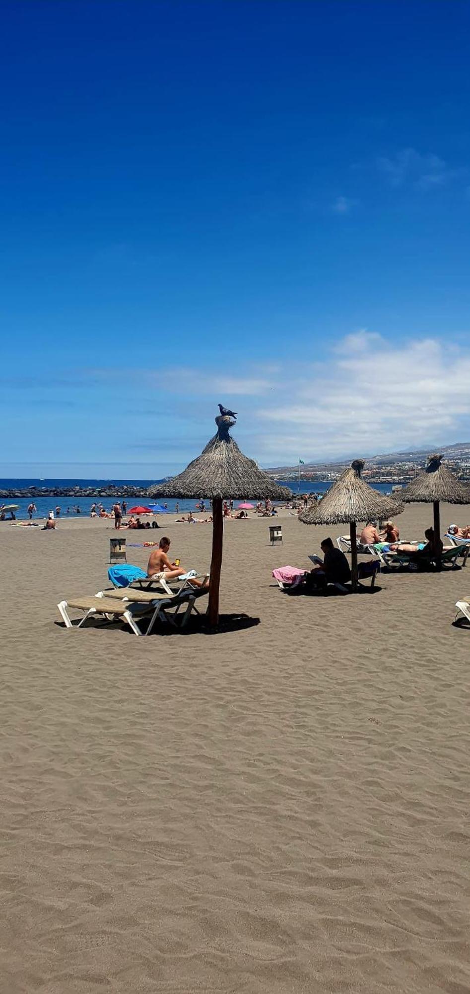 Wonderful White Appartament In Las Tortugas Playa de las Americas  Eksteriør bilde
