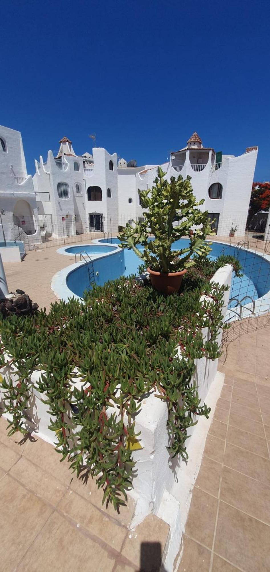Wonderful White Appartament In Las Tortugas Playa de las Americas  Rom bilde